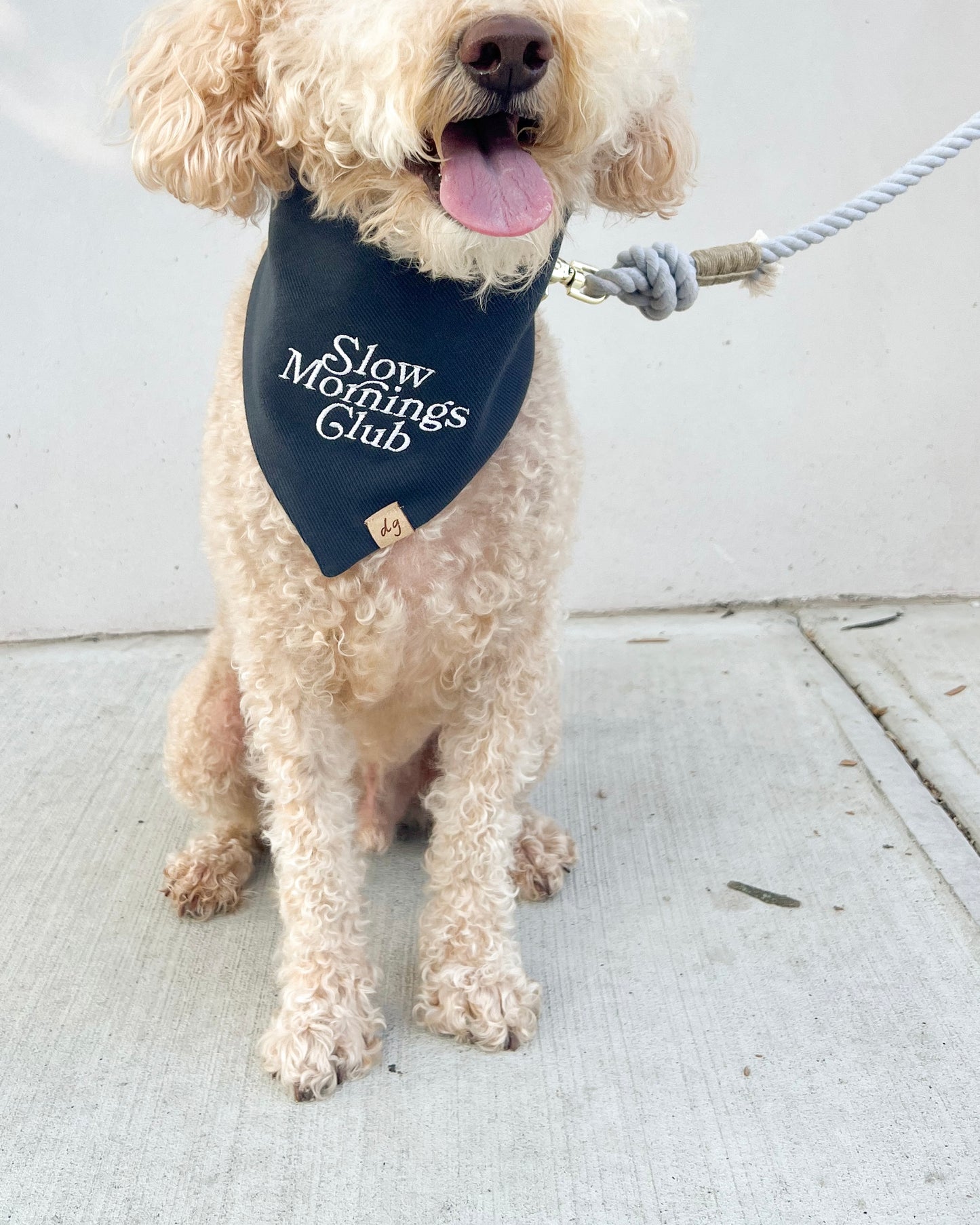 Slow Mornings Club Dog Bandana