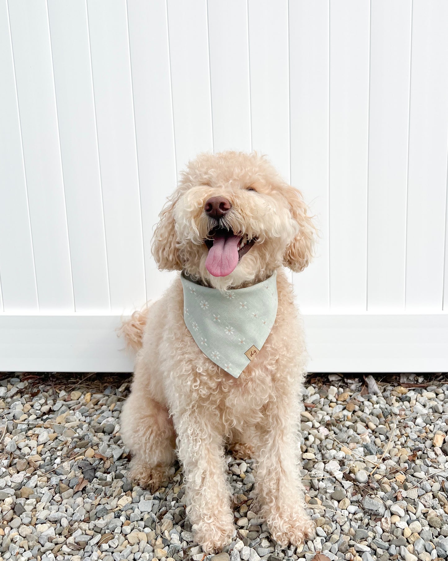 Mist Dog Bandana