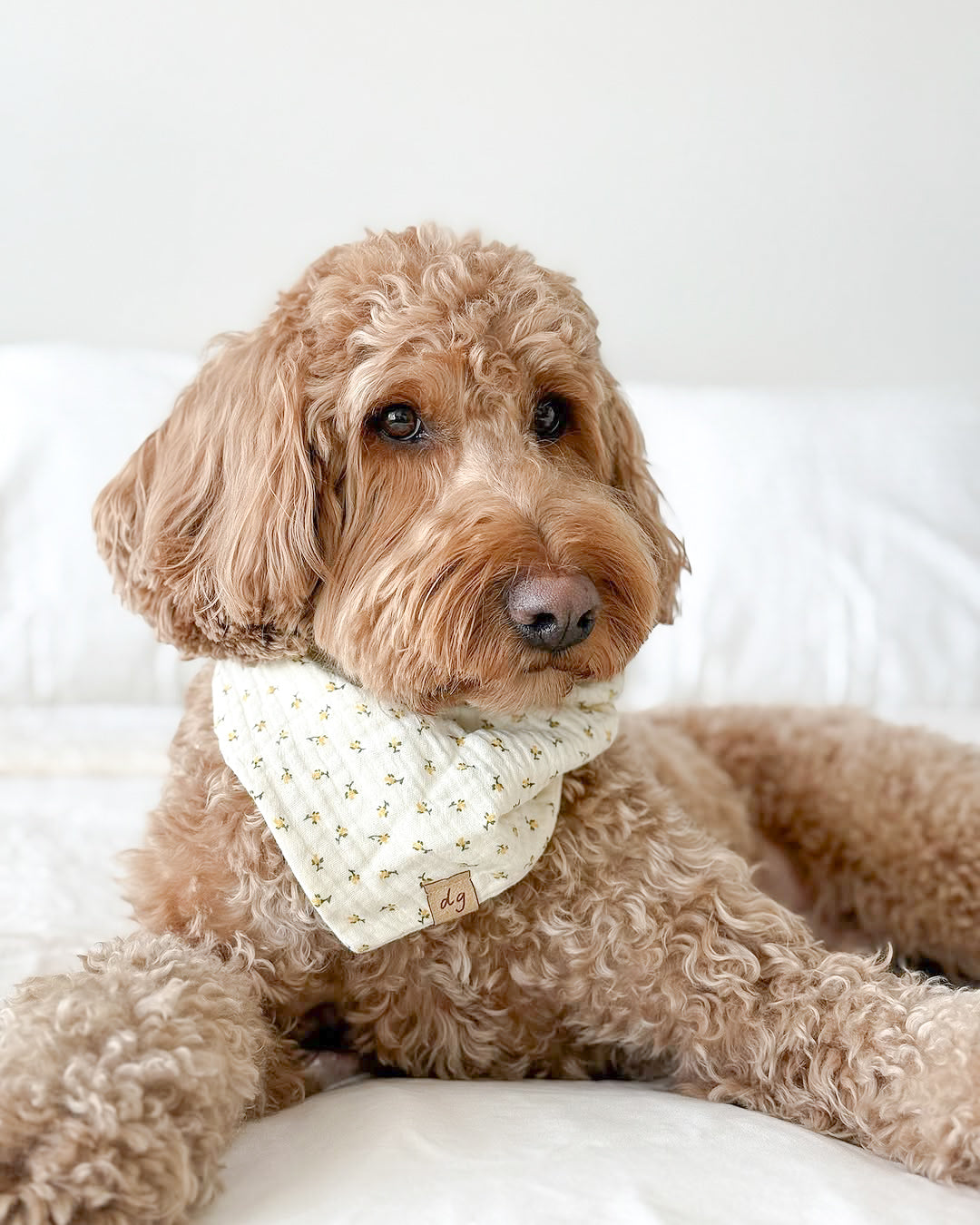 Capri Dog Bandana