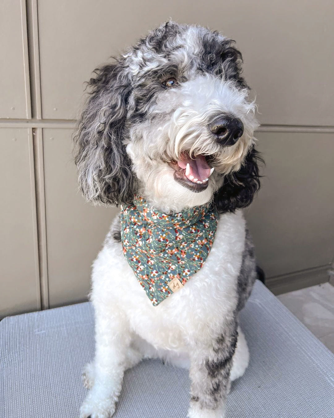 Blair Dog Bandana
