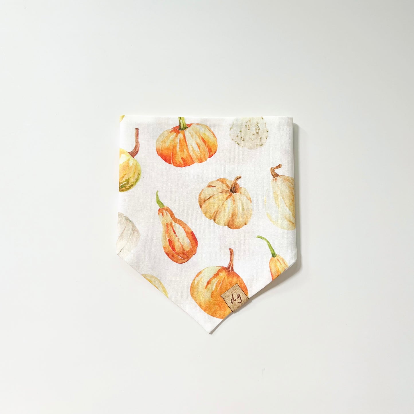 Squash Dog Bandana
