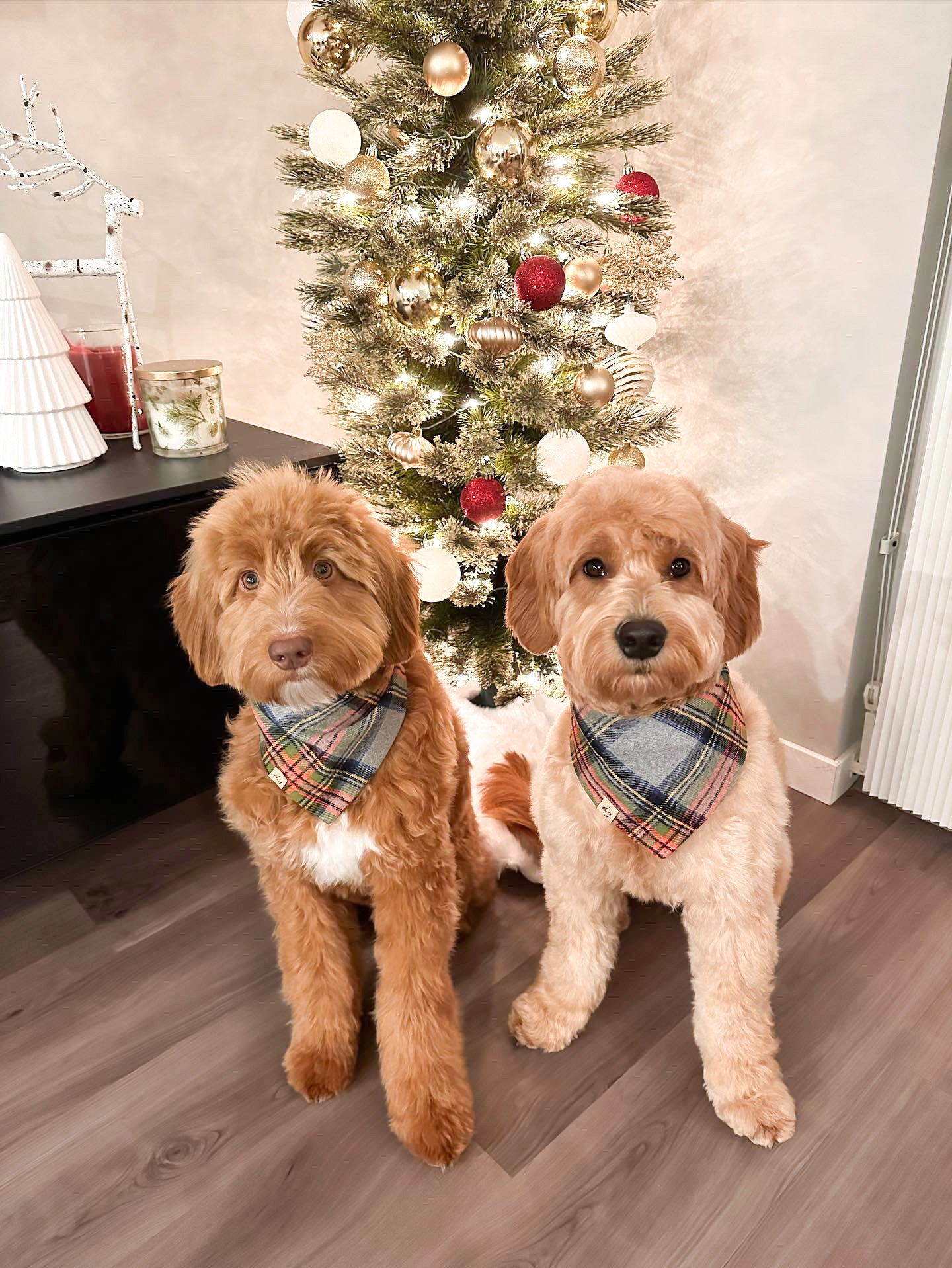 Pawliday Plaid Dog Bandana