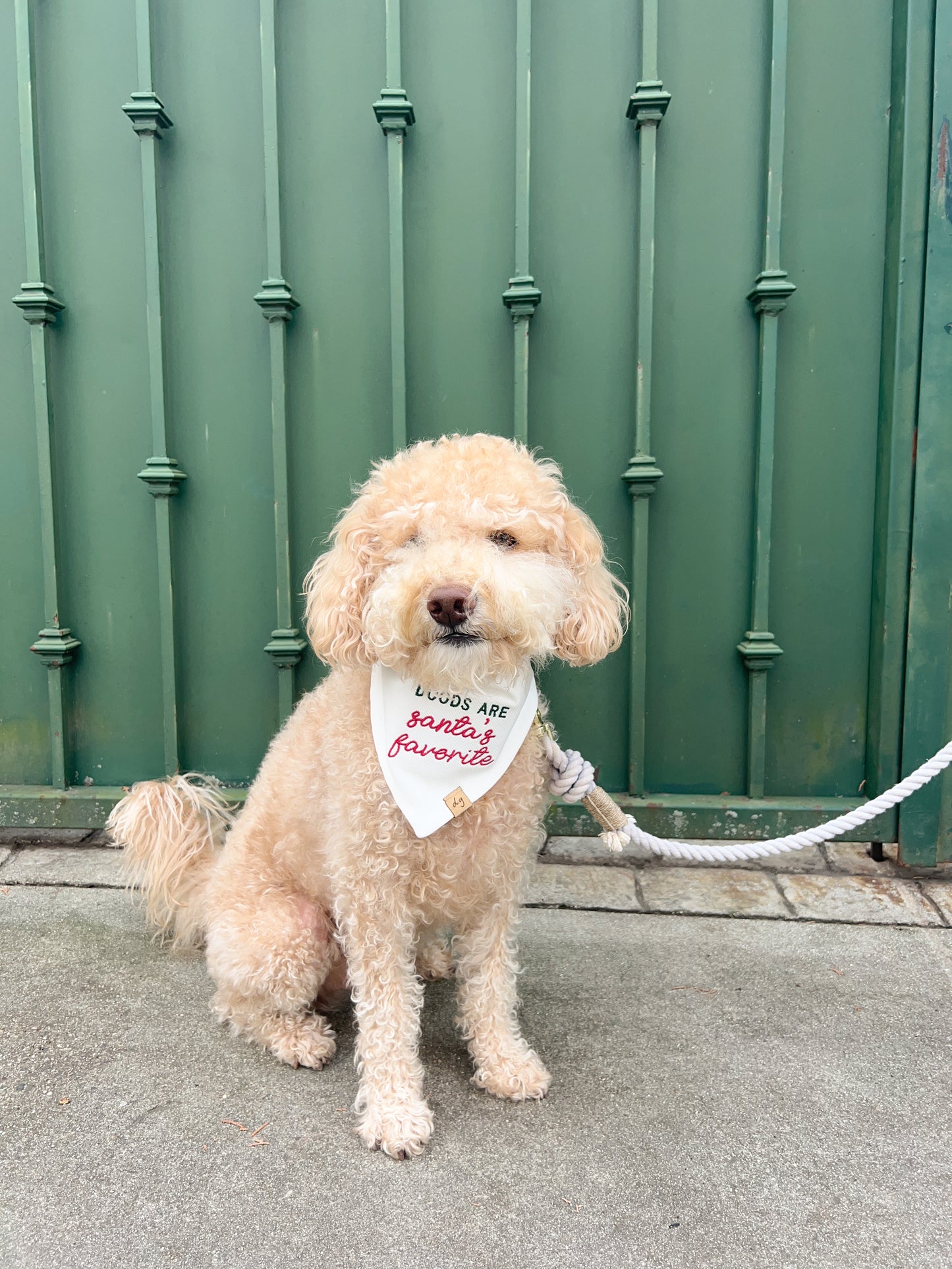 Doods Are Santa's Favorite Dog Bandana