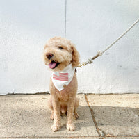 Liberty Dog Bandana