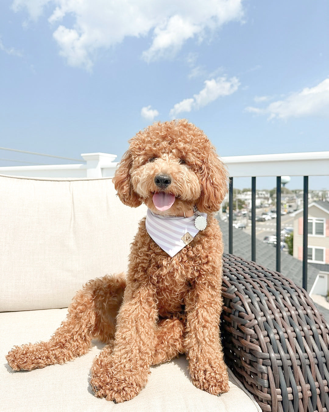 Out East Dog Bandana