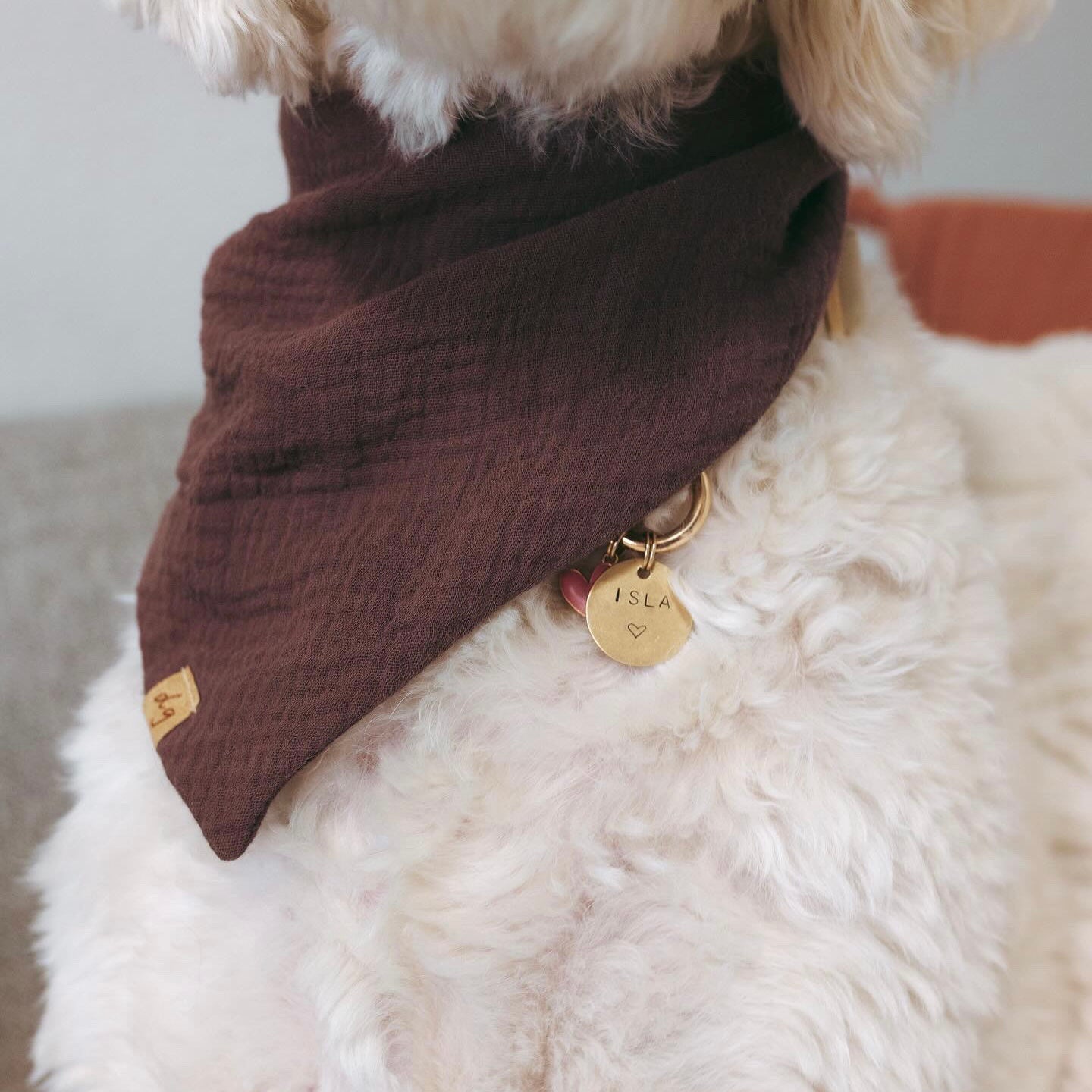 Espresso Dog Bandana