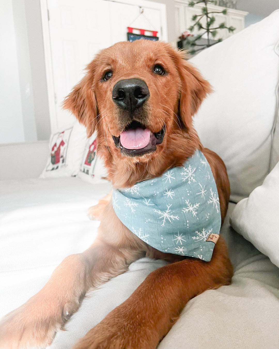 Falling Flurries Dog Bandana