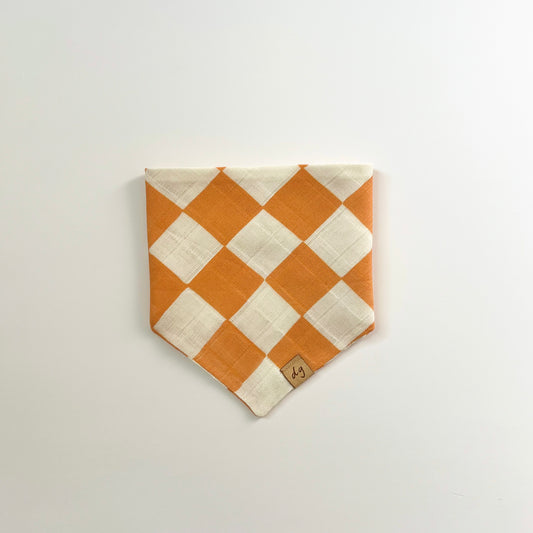 Blaze Dog Bandana