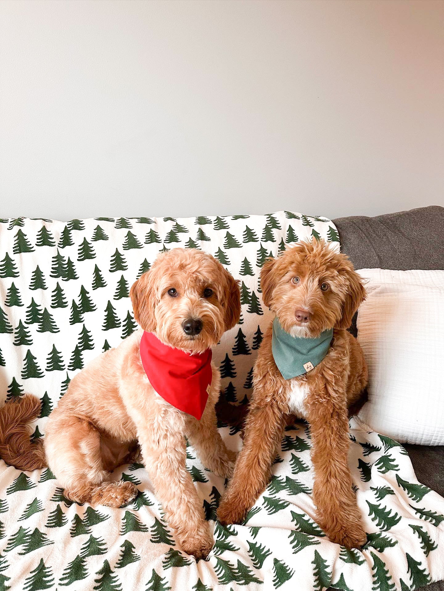 Rudolph Dog Bandana