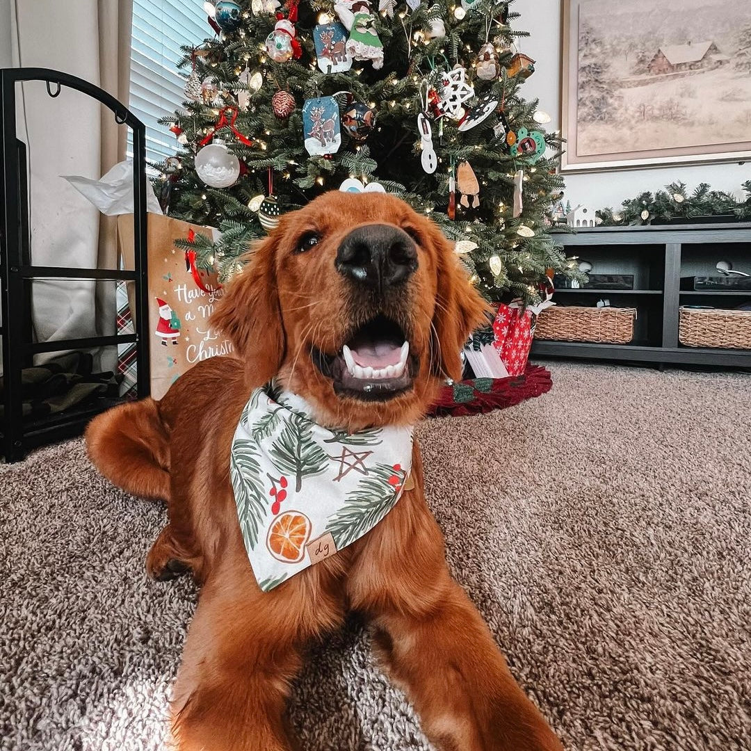 Holly Jolly Dog Bandana