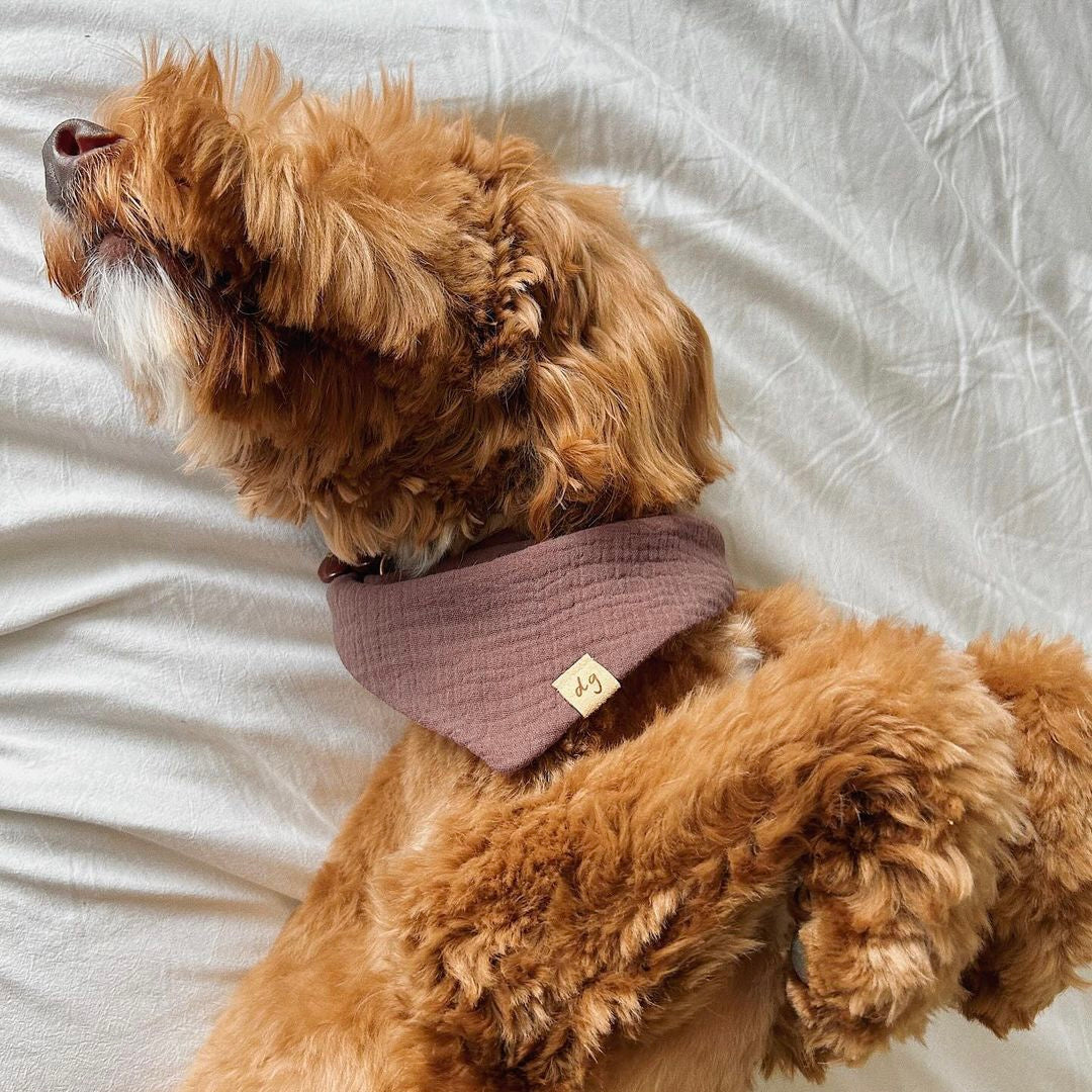 Espresso Dog Bandana