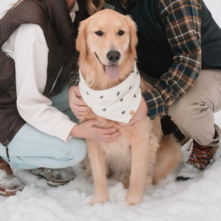 Tree Farm Dog Bandana