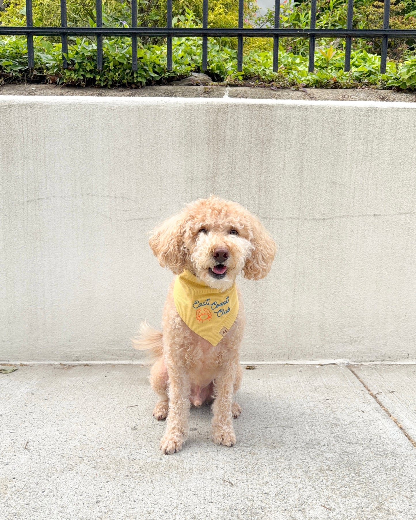 East Coast Club Dog Bandana