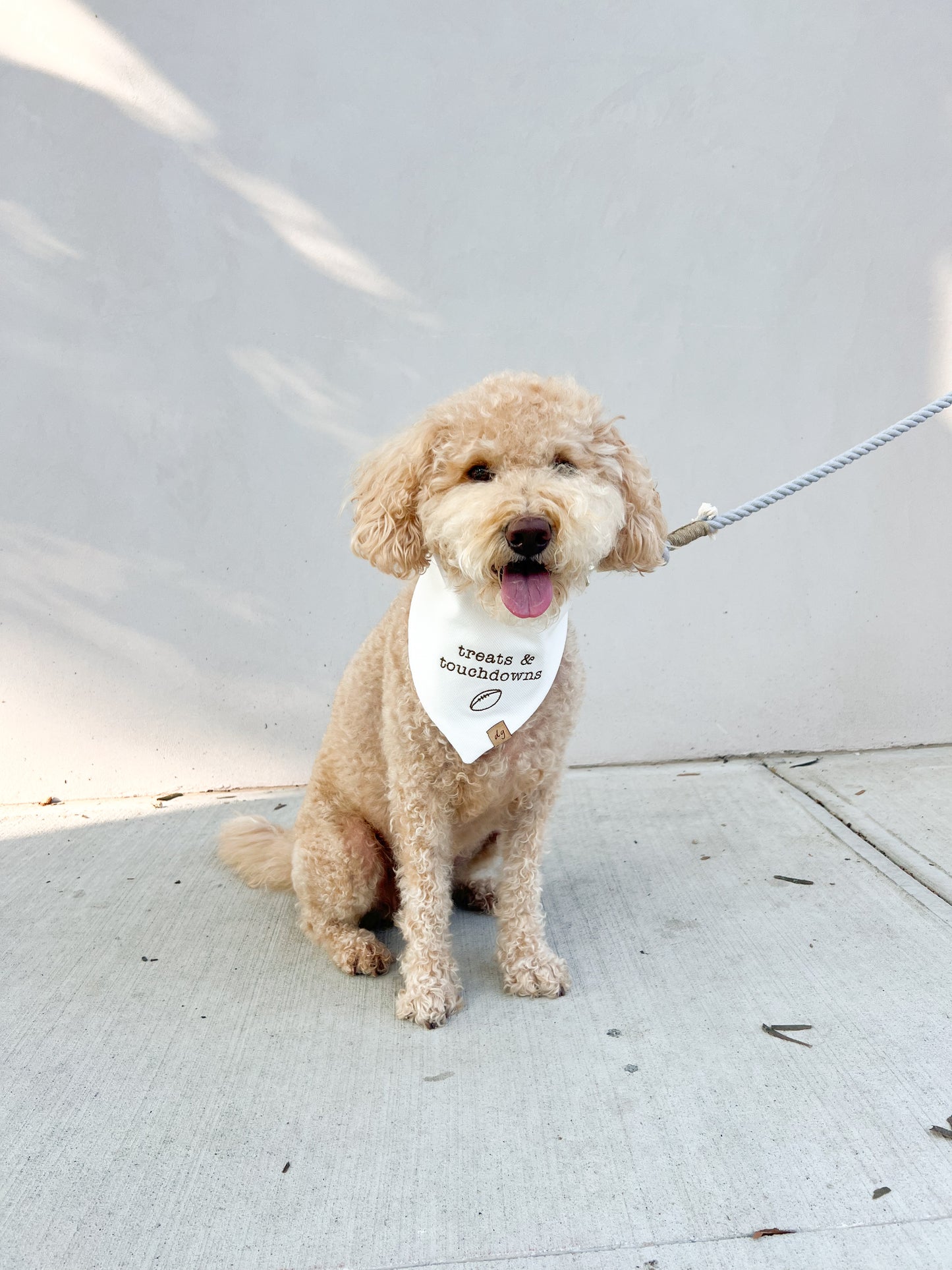 Treats & Touchdowns Dog Bandana